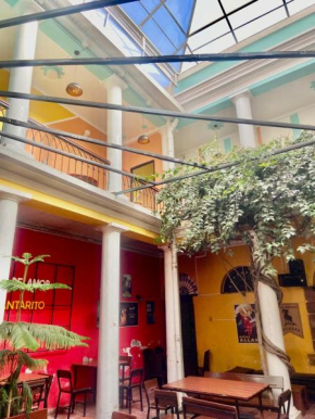 Colors House